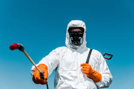 Best Bed Bug Extermination  in Agua Dulce, TX